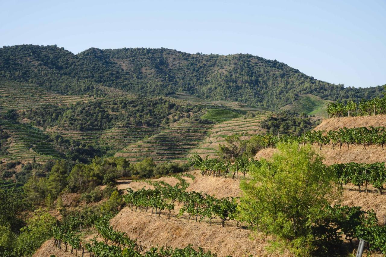 Ora Hotel Priorat, A Member Of Design Hotels Torroja Exteriér fotografie